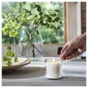 IKEA ADLAD АДЛАД, ароматизована свічка у склянці, скандинавський ліс / білий, 20 Години 505.021.03 фото thumb №2