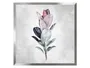 BRW живопись акварелью растение №1 50x50 см серый 082637 фото
