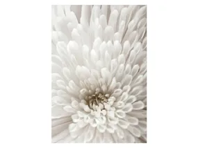 BRW Постер "Белый цветок" 50x70 см 077191 фото
