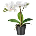IKEA FEJKA ФЕЙКА, искусственное растение в горшке, Орхидея белый, 9 см 002.859.08 фото thumb №1