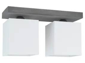 BRW Чудовий 2-точковий бетонний стельовий світильник біло-сірого кольору 073920 фото