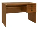 Письмовий стіл BRW Indiana, 120х65 см, дуб JBIU2S-DSU фото thumb №1