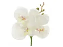 BRW штучна орхідея в горщику 30 см біла 090881 фото thumb №2