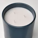 IKEA FRUKTSKOG ФРУКТСКОГ, аром свічка у керам склянці+криш, Ветивер і герань / чорна бірюза, 60 годин. 005.558.15 фото thumb №7