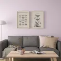 IKEA BILD БИЛЬД, постер, Летающие существа, 50x70 см 304.469.38 фото thumb №2