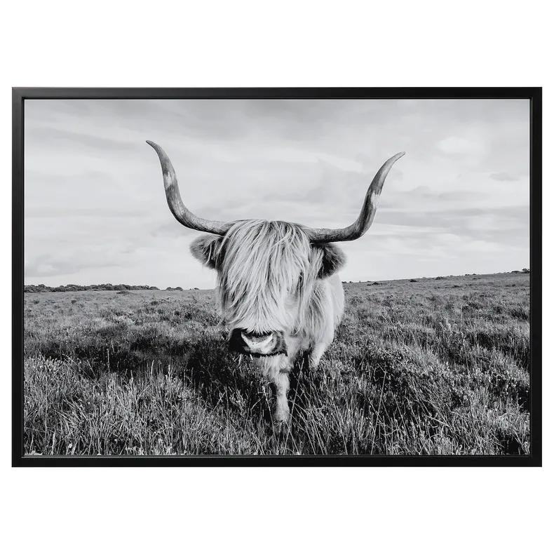 IKEA BJÖRKSTA БЬЁРКСТА, картина с рамой, любопытная корова / черный, 140x100 см 495.089.12 фото №1