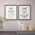 IKEA BILD БІЛЬД, постер, метелики, 40x50 см 204.421.39 фото thumb №3