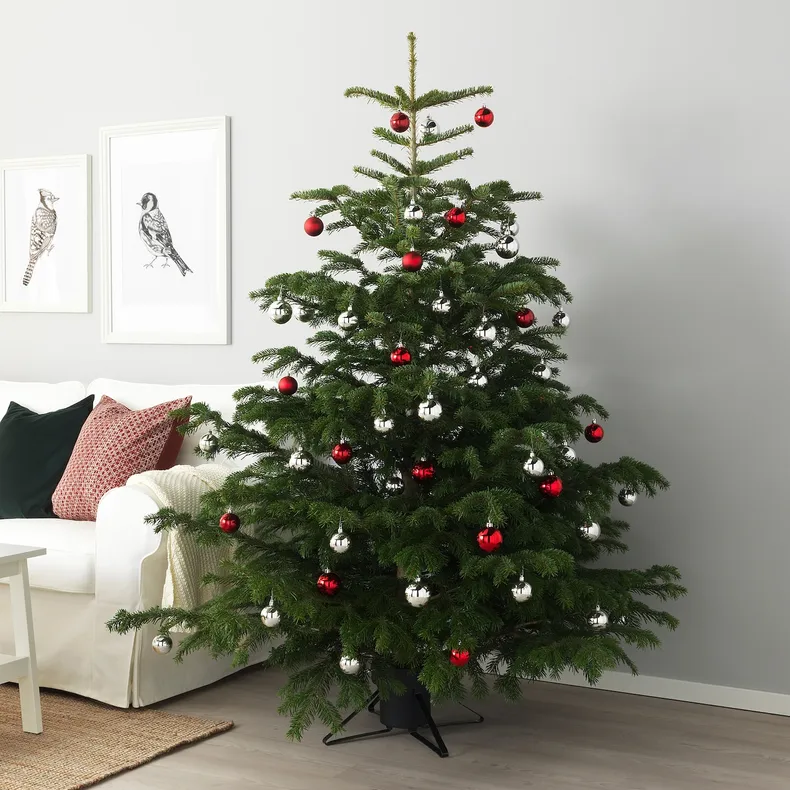 IKEA ABIES NORDMANNIANA, Різдвяна ялинка, 171-220 см 802.283.63 фото №2