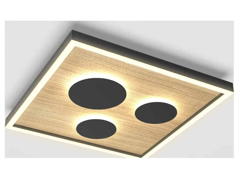 BRW Потолочный светильник Dijon LED 3-точечный с регулировкой яркости черный 091089 фото №2