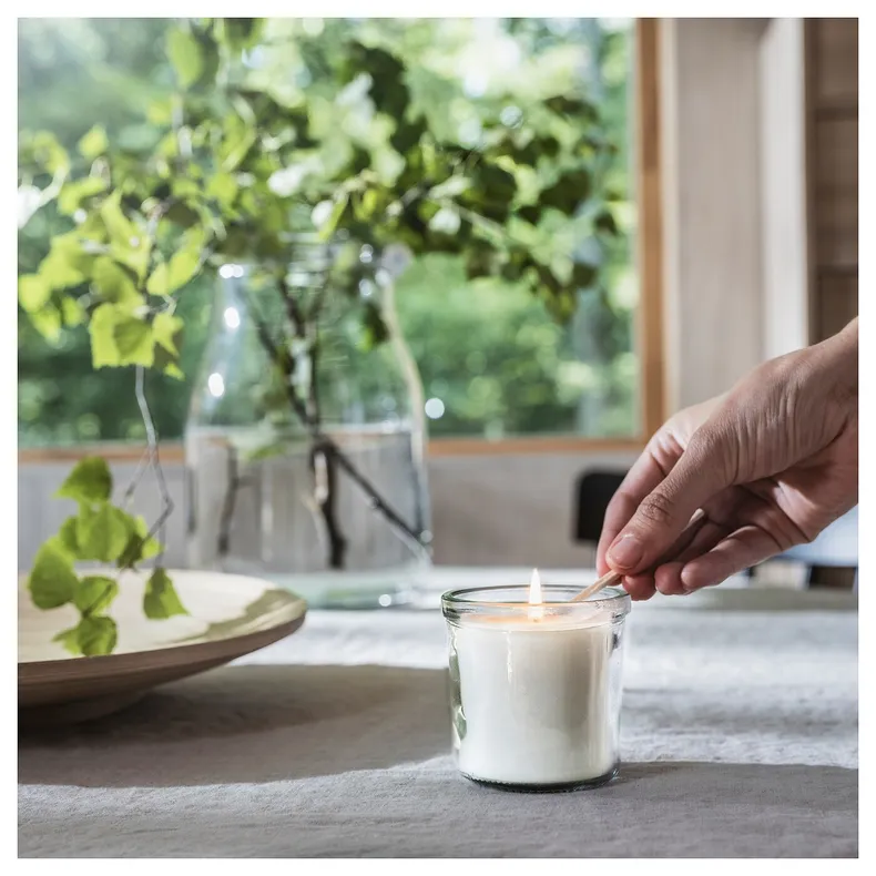 IKEA ADLAD АДЛАД, ароматическая свеча в стакане, Скандинавские породы дерева / белый, 20 часов. 505.021.03 фото №2