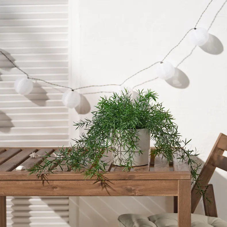 IKEA FEJKA ФЕЙКА, штучна рослина в горщику, для приміщення / вулиці Аспарагус / підвісний, 12 см 005.716.79 фото №3