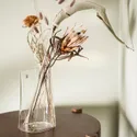 IKEA CHILIFRUKT ЧІЛІФРУКТ, ваза/поливальниця, прозоре скло, 21 см 304.922.42 фото thumb №5