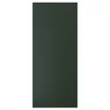 IKEA HAVSTORP ГАВСТОРП, дверцята, Темно-зелений, 60x140 см 805.683.76 фото thumb №1
