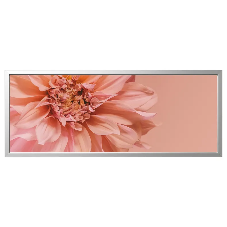 IKEA BJÖRKSTA БЬЙОРКСТА, картина з рамкою, квіти в рожевому/сріблястому кольорі, 140x56 см 495.616.26 фото №1