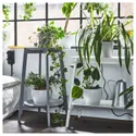 IKEA ALPVIDE АЛЬПВІДЕ, підставка для рослин, сірий, 71 см 505.462.63 фото thumb №4