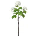 IKEA SMYCKA СМИККА, цветок искусственный, снег / белый, 60 см 404.097.42 фото thumb №1