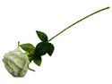 BRW одна троянда 085763 фото thumb №1