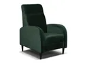 BRW Lento, крісло, Riviera 38 Green FO-LENTO-G1_B96F0F фото thumb №1