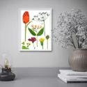 IKEA BILD БІЛЬД, постер, Цвітіння квітів I, 30x40 см 504.361.08 фото thumb №2