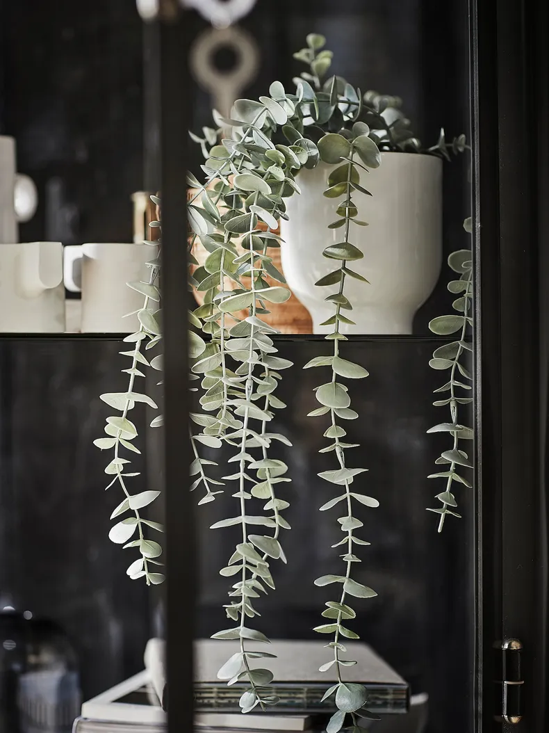 IKEA FEJKA ФЕЙКА, штучна рослина в горщику, кімнатні / зовнішні підвісні / евкаліпт, 9 см 704.668.11 фото №3