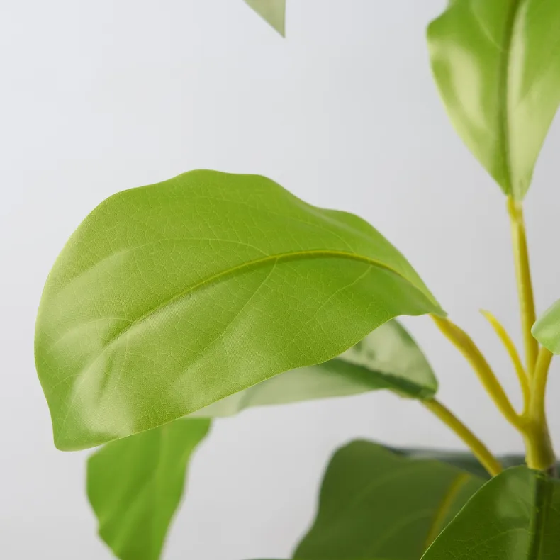 IKEA FEJKA ФЕЙКА, штучна рослина в горщику, всередині / зовні авокадо, 15 см 105.716.93 фото №4