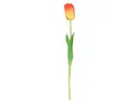 BRW тюльпан одиночный 085746 фото thumb №1