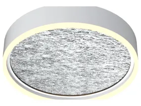 BRW Стельовий світлодіодний металевий світильник Бордо сріблястий 091079 фото