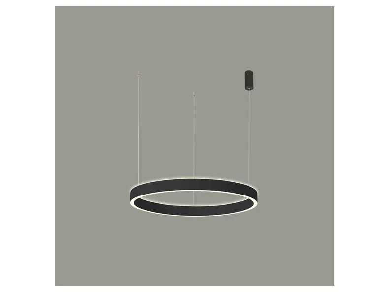 BRW Подвесной светодиодный светильник Brasco Up Down с изменяемым цветом света черный 091919 фото №3