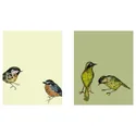 IKEA BILD БІЛЬД, постер, Міські птахи II, 40x50 см 304.360.34 фото thumb №1