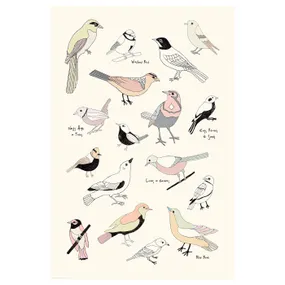 IKEA BILD БИЛЬД, постер, жизнь птиц, 61x91 см 904.417.92 фото