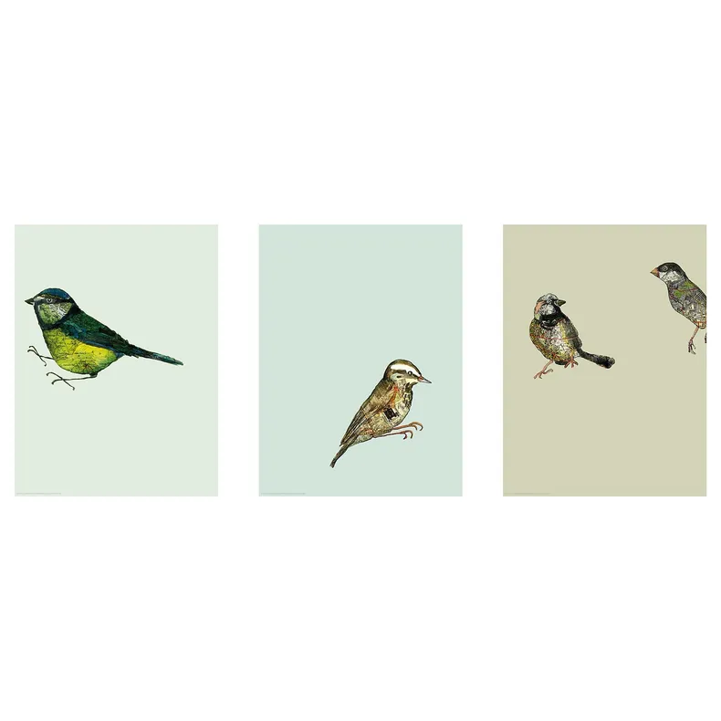 IKEA BILD БІЛЬД, постер, Міські птахи I, 30x40 см 504.361.70 фото №1