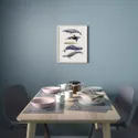 IKEA BILD БІЛЬД, постер, Китова музика, 40x50 см 104.360.11 фото thumb №2