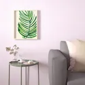 IKEA BILD БІЛЬД, постер, Лист тропічної пальми II, 40x50 см 704.420.71 фото thumb №3
