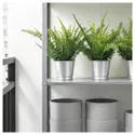 IKEA FEJKA ФЕЙКА, штучна рослина в горщику, для приміщення / вулиці папороть, 9 см 304.339.45 фото thumb №3