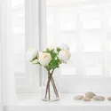 IKEA SMYCKA СМИККА, цветок искусственный, Пион / белый, 30 см 804.097.83 фото thumb №3