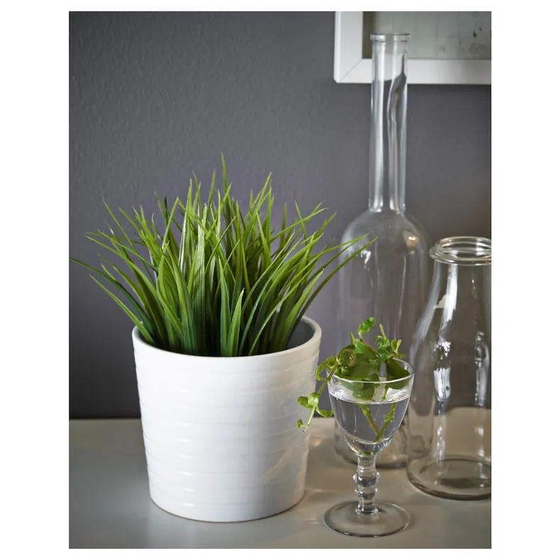 IKEA FEJKA ФЕЙКА, штучна рослина в горщику, для приміщення/вулиці трава, 9 см 004.339.42 фото №7